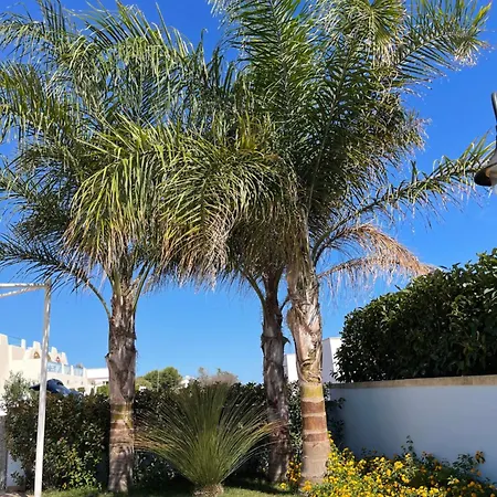 Villa Tre Palme- Privata *
